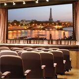 Draper Paragon V 234" Projection Screen