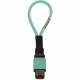 Eaton Tripp Lite Series Multimode 50/125 OM3 Loopback Fiber Optic Cable Tester (12F MTP/MPO Female), LSZH, Aqua