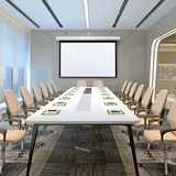 Draper Acumen M 161" Projection Screen