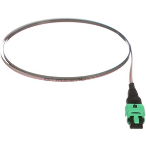 Panduit QuickNet Fiber Optic Network Cable - 3.28 ft Fiber Optic Network Cable for Network Device - First End: 1 x PanMPO Network - Female - Second End: 1 x Pigtail - 9/125 &micro;m