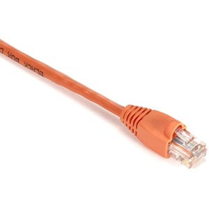 Black Box Gigabase Cat. 5E UTP Patch Cable - RJ-45 Male - RJ-45 Male - 20ft - Orange