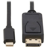 Eaton Tripp Lite Series USB-C to DisplayPort Bi-Directional Active Adapter Cable (M/M), 4K 60 Hz, HDR, Locking DP Connector, 10 ft. (3.1 m)