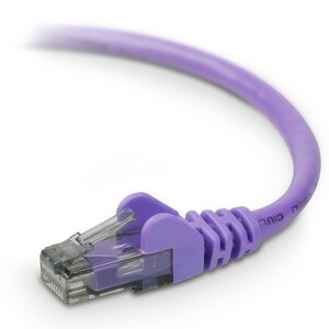 Belkin Cat. 6 UTP Patch Cable - RJ-45 Male - RJ-45 Male - 1ft - Purple