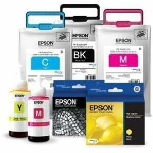 Epson UltraChrome HDR T653900 Original Inkjet Ink Cartridge - Light Black Pack
