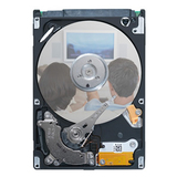 Seagate Pipeline HD Mini ST9250311CS 250 GB Hard Drive - 3.5" Internal - SATA (SATA/300)