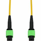 AddOn 0.5m MPO/APC to MPO/APC Yellow OS2 OFNP (Plenum-Rated) 12-Strand SMF Fiber Patch Cable