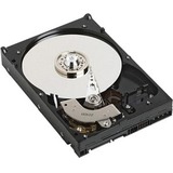 DELL SOURCING - CERTIFIED PRE-OWNED 500 GB Hard Drive - 2.5" Internal - SATA